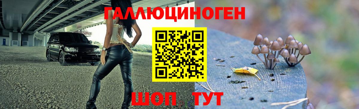 Галлюциногенные грибы ЛСД  Вход с VPN  Галлюциногенные грибы Magic Shrooms  Урюпинск 